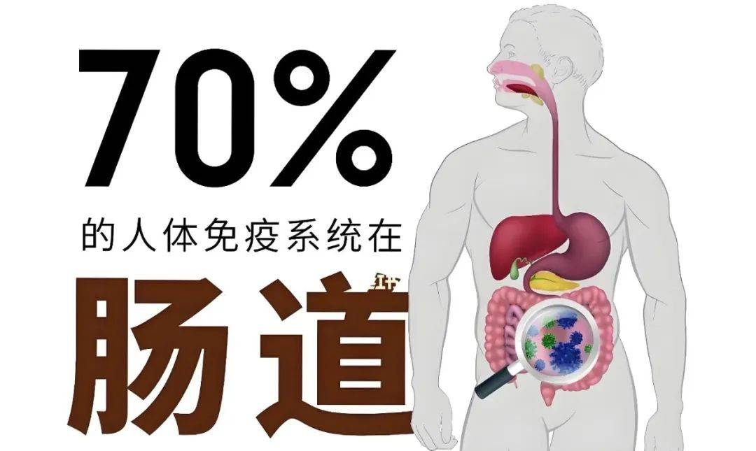 免疫力提升(免疫力提升需要多久)